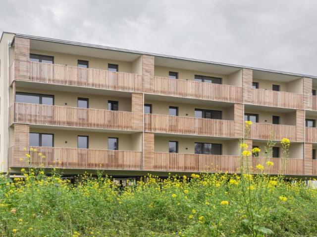 3 Schlafzimmer Wohnung Oberösterreich Oberösterreich 106007341