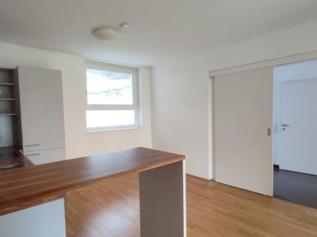3 Schlafzimmer Wohnung Oberösterreich Oberösterreich 106034333