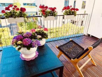 Flat for sale in Ruiter Straße - Keller