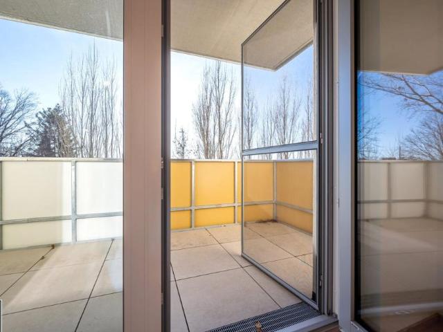 3 Schlafzimmer Wohnung Burgenland Burgenland 104227458
