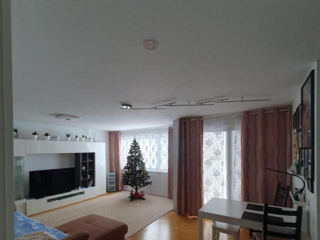3 Schlafzimmer Wohnung Elzach Deutschland 102309728