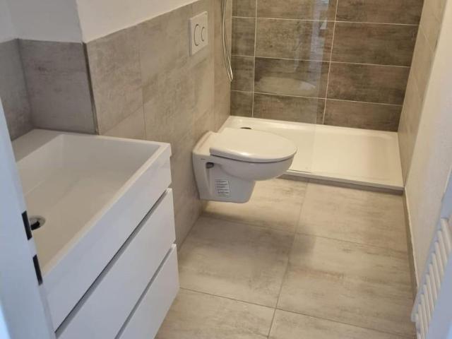 3 Schlafzimmer Wohnung Rheinfelden Rheinfelden LS105823235