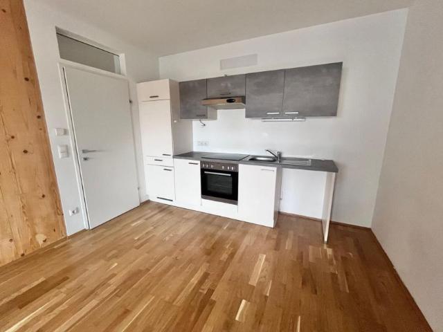 3 Schlafzimmer Wohnung Steiermark Steiermark 103962392