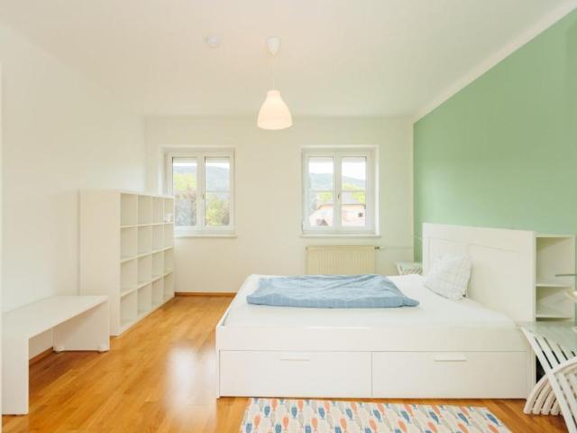 3 Schlafzimmer Wohnung Steiermark Steiermark 105076796