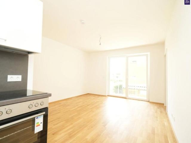 3 Schlafzimmer Wohnung Steiermark Steiermark 105137362
