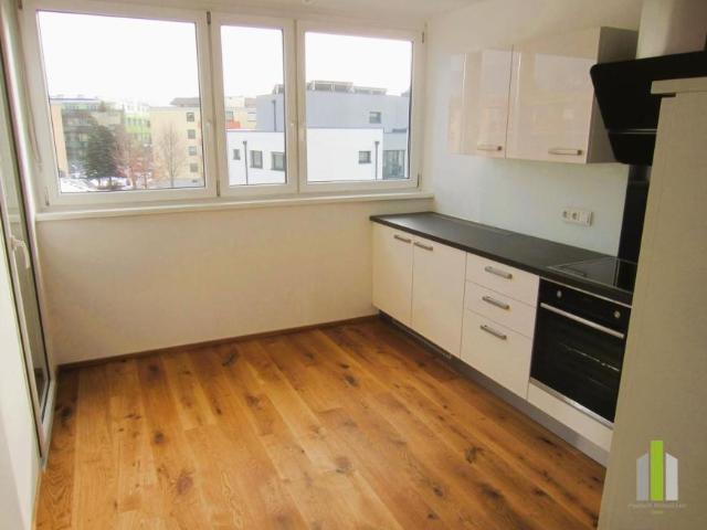 3 Schlafzimmer Wohnung Salzburg Salzburg 104473907