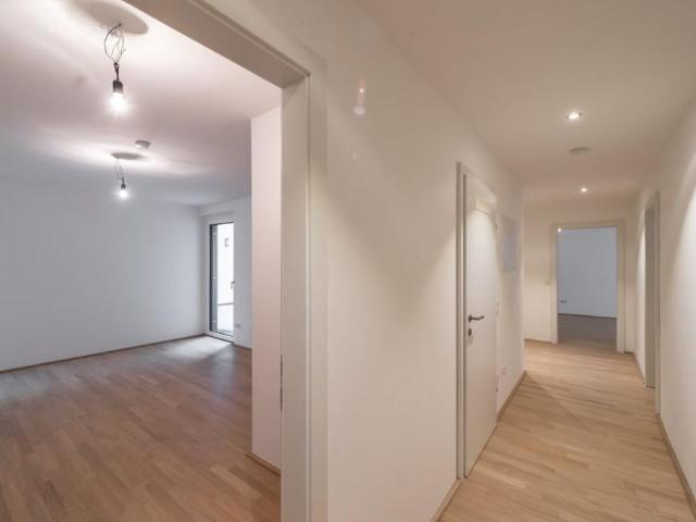 3 Schlafzimmer Wohnung Wien Wien 104844597