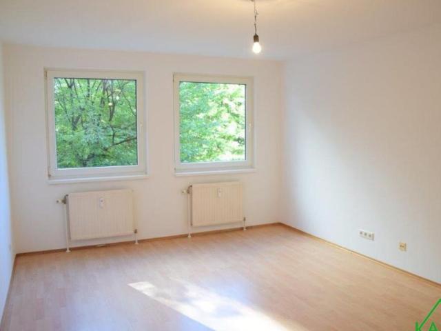3 Schlafzimmer Wohnung Wien Wien 105976556