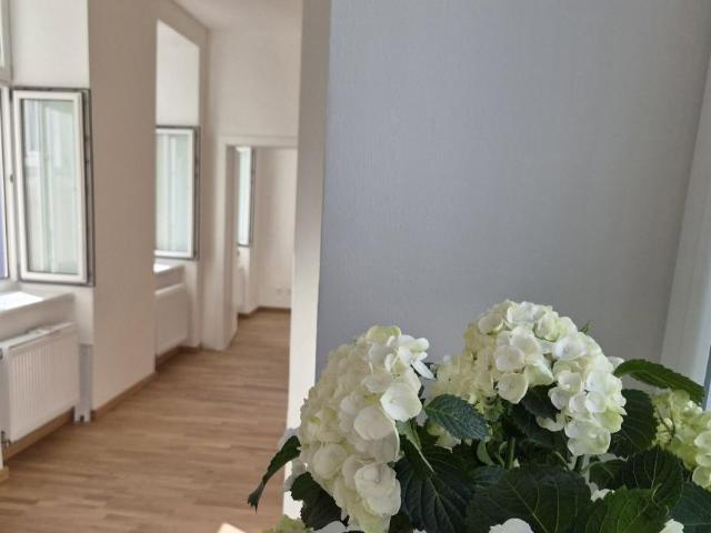 3 Schlafzimmer Wohnung Wien Wien 106137067