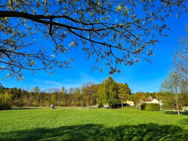 3 Schlafzimmer Haus Ringenhain Deutschland 98107373