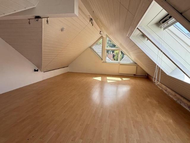 3 Schlafzimmer Maisonette Warthausen Warthausen 105461941