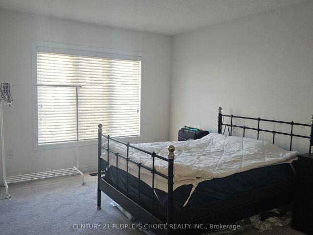 3 Sharp Drive, Hamilton