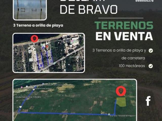 3 Terrenos a orilla de mar, y ex rancho con 100 ha de superficie en venta, Dzilam de Bravo