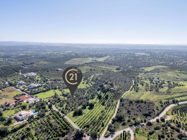 3 Terrenos Rústicos com 3,25 ha – Torre e Cercas, Silves