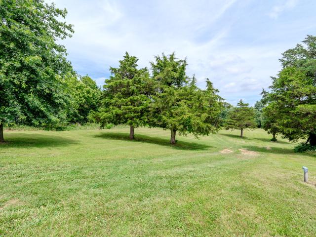 3 willow woods