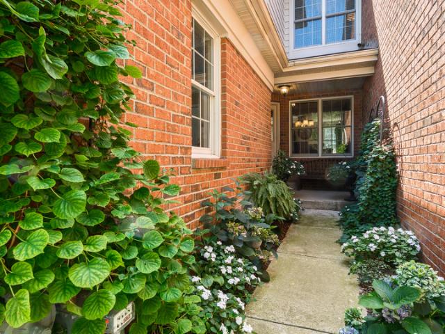 3 Winged Foot Drive