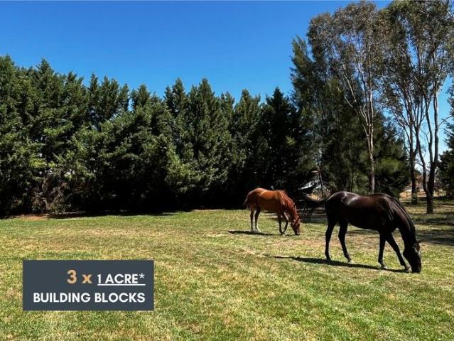 3 x 1ACRE* BUILDING BLOCKS JUST 10MINS FROM COWRA!
