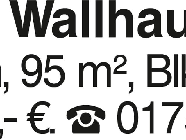 3 Zi. Whg. Wallhausen