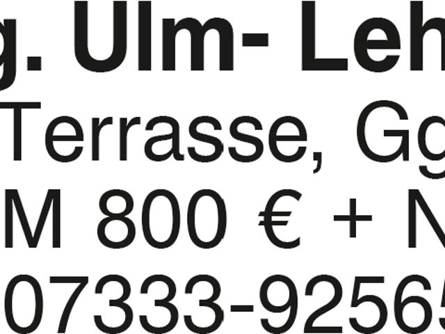 3 Zi. Whg. in Ulm Lehr