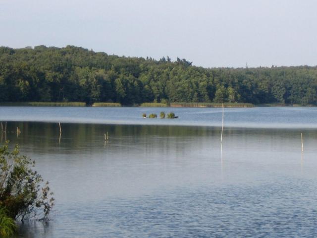 3 Zi Whg. in Heinersdorf/ Seenähe, opt. Stellplatz, Garten u.a.m.