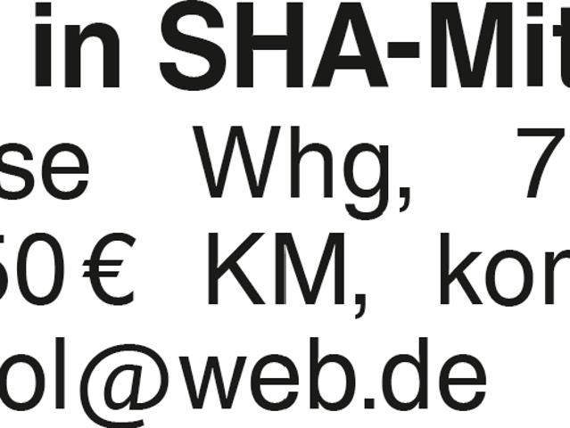 3 Zi Whg in SHA Mitte