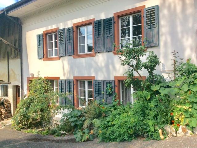 3 Zi. Wohnung in Bauernhaus