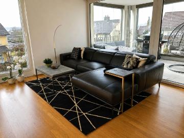 3½ ZI WOHNUNG IN HEDINGEN ZH, MÖBLIERT, TEMPORÄR