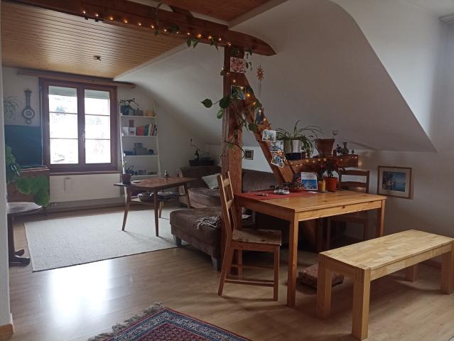 3½ ZI WOHNUNG IN STECKBORN TG, MÖBLIERT, TEMPORÄR