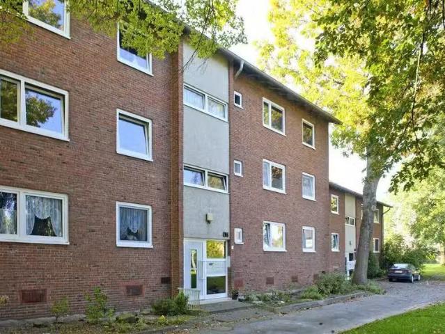 3 Zimmer 50 m² 479 € Kaltmiete Wohnungen in Gronau