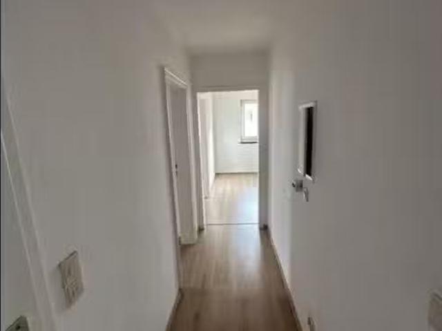 3 Zimmer 50 m² 410 € Kaltmiete Wohnungen in Bebra