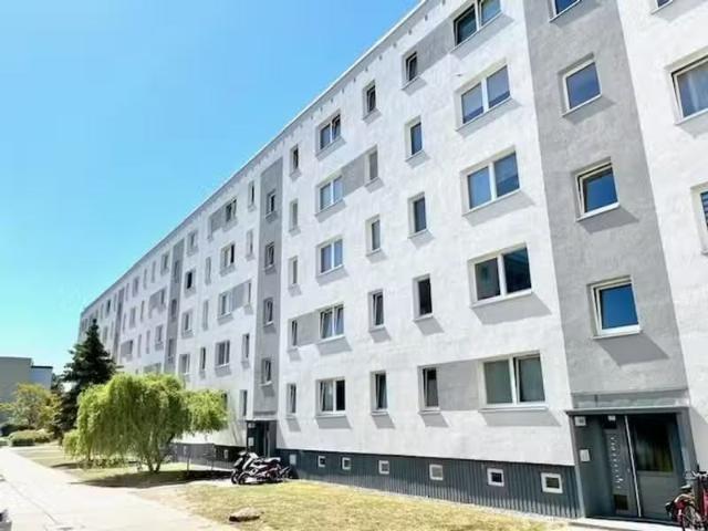 3 Zimmer 57 m² 340 € Kaltmiete Wohnungen in Schwerin