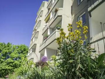 3 Zimmer 54 m² 275 € Kaltmiete Wohnungen in Chemnitz