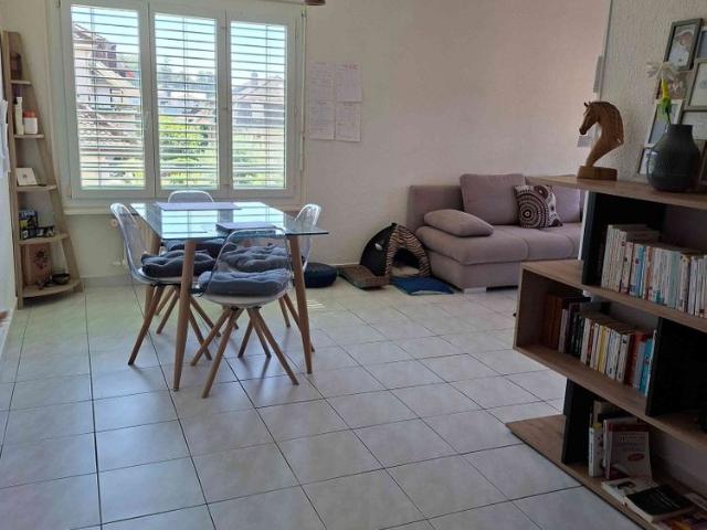 3 Zimmer, 55 m²