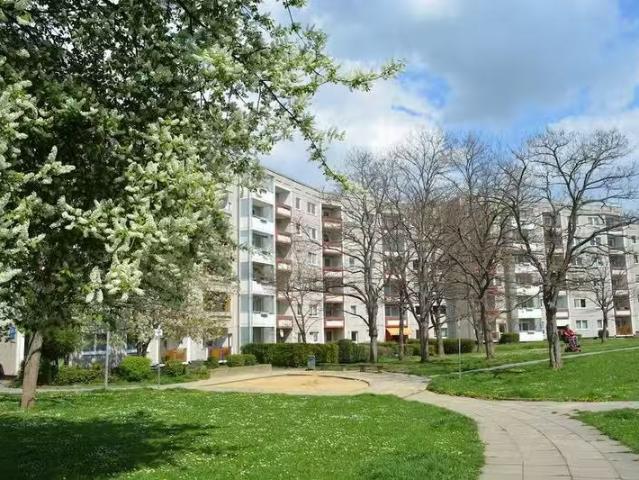 3 Zimmer 55 m² 322 € Kaltmiete Wohnungen in Erfurt