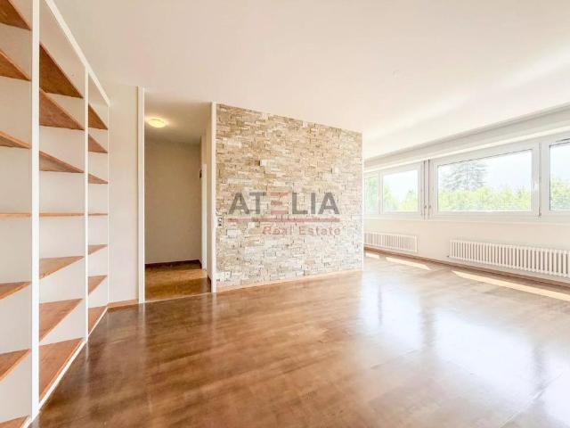 3 Zimmer, 55 m²