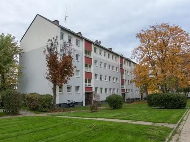 3 Zimmer 55 m² 509 € Kaltmiete Wohnungen in Essen