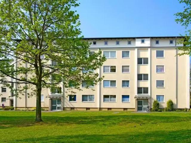 3 Zimmer 56 m² 499 € Kaltmiete Wohnungen in Ahlen