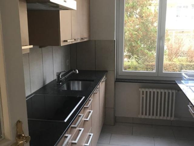 3 Zimmer, 59 m², EG