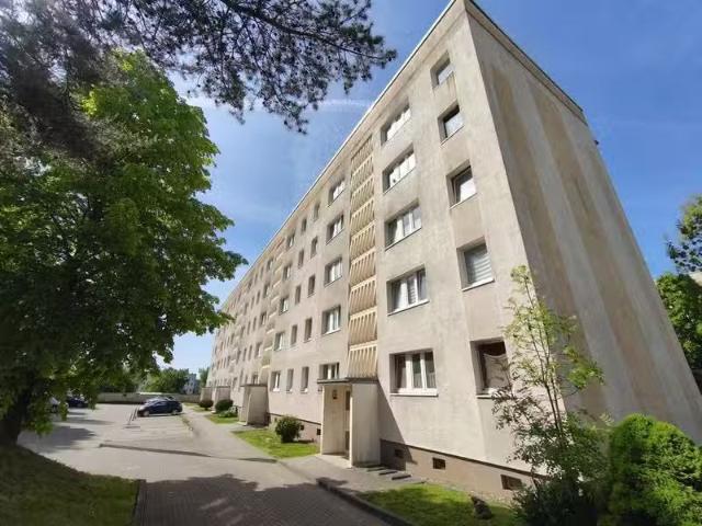 3 Zimmer 59 m² 359 € Kaltmiete Wohnungen in Sangerhausen