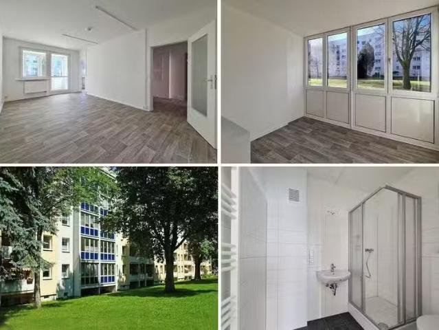 3 Zimmer 59 m² 330 € Kaltmiete Wohnungen in Freiberg