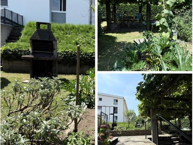 3 Zimmer, 60 m²