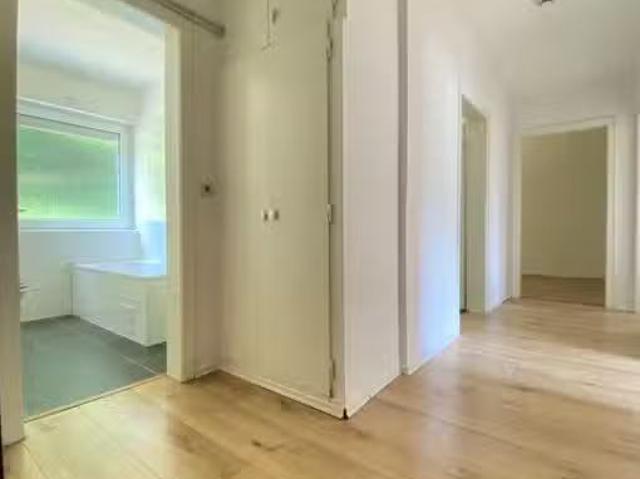 3 Zimmer 62 m² 355 € Kaltmiete Wohnungen in Bestwig