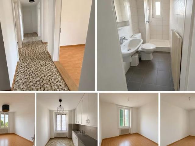 3 Zimmer, 65 m²