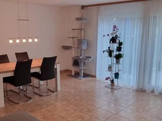 3 Zimmer, 65 m²