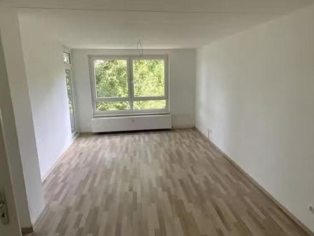 3 Zimmer 65 m² 490 € Kaltmiete Wohnungen in Essen