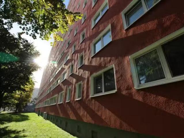 3 Zimmer 65 m² 405 € Kaltmiete Wohnungen in Magdeburg