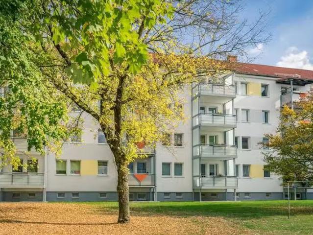 3 Zimmer 66 m² 399 € Kaltmiete Wohnungen in Chemnitz