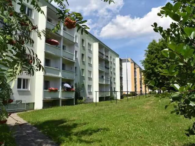 3 Zimmer 66 m² 420 € Kaltmiete Wohnungen in Klingenberg