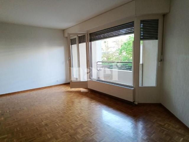 3 Zimmer, 69 m², 1. Stock