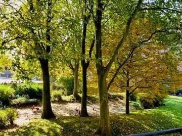 3 Zimmer 69 m² 529 € Kaltmiete Wohnungen in Lippstadt